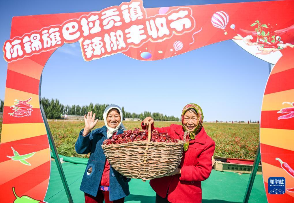 tsv天时娱乐